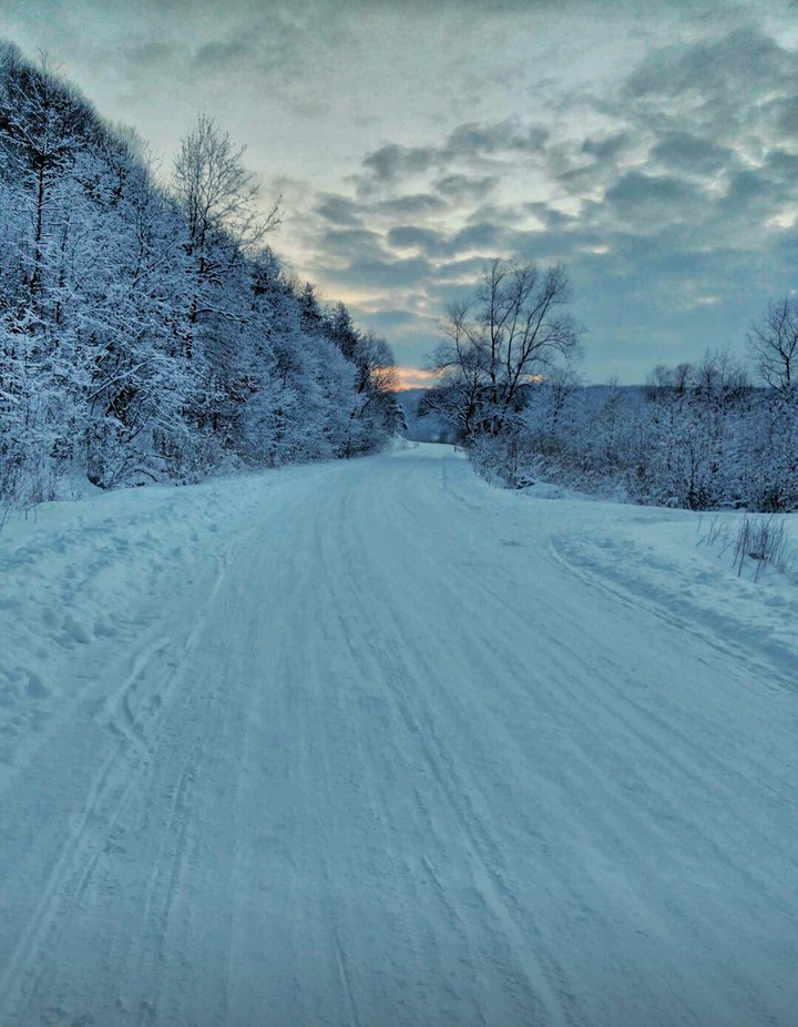 Winter