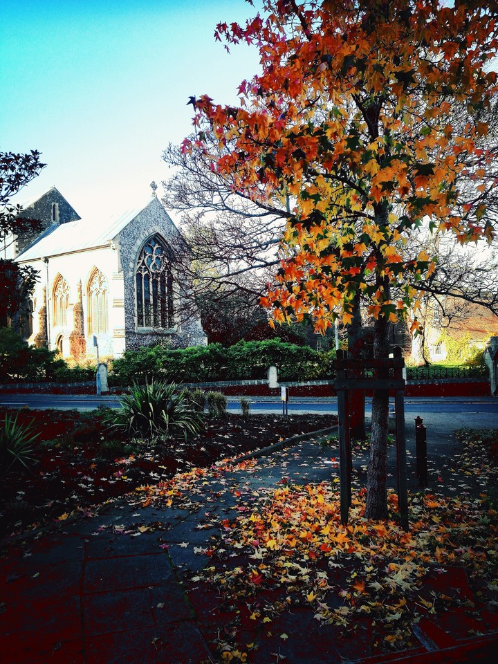 autumn