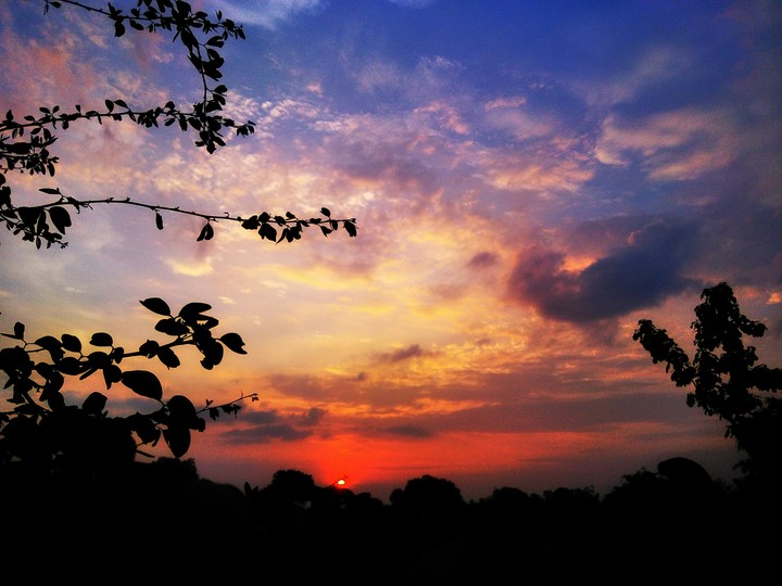 Evening Feels Nature