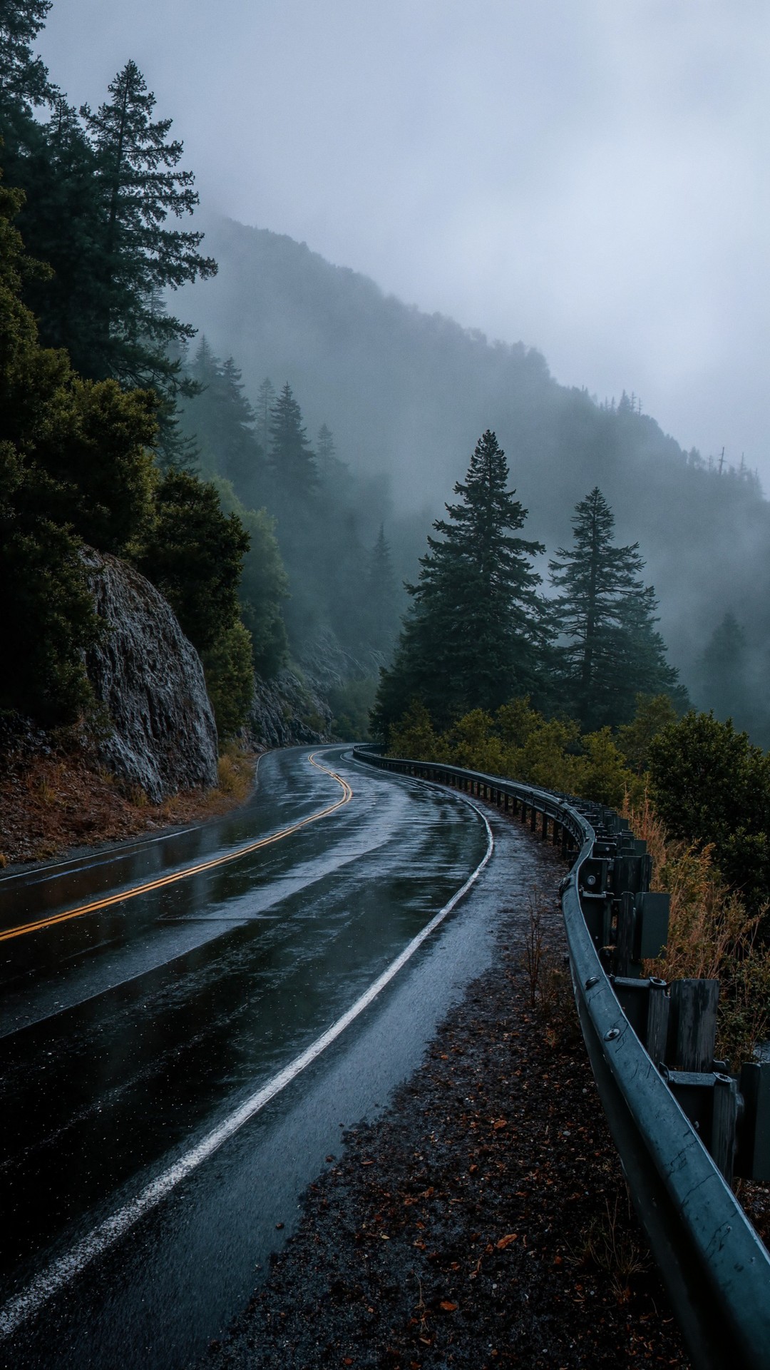 тапети forest, highway