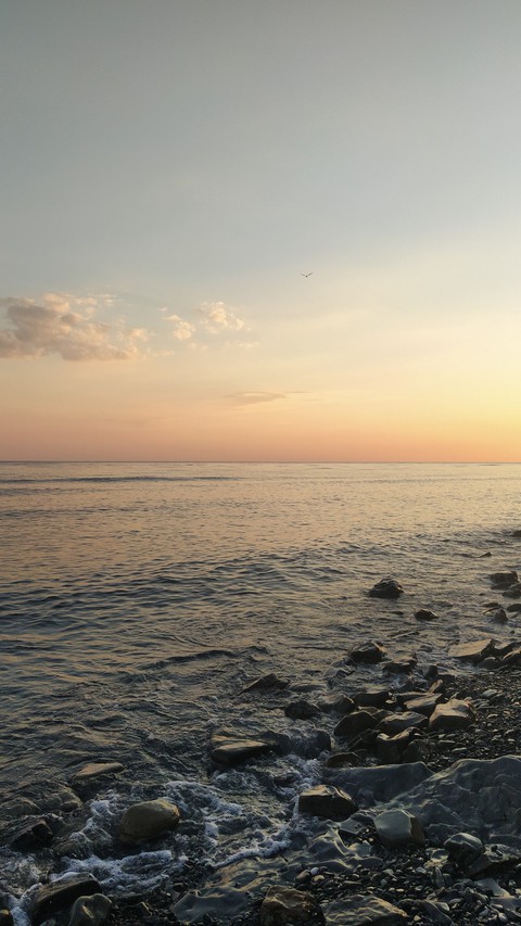 Sea
