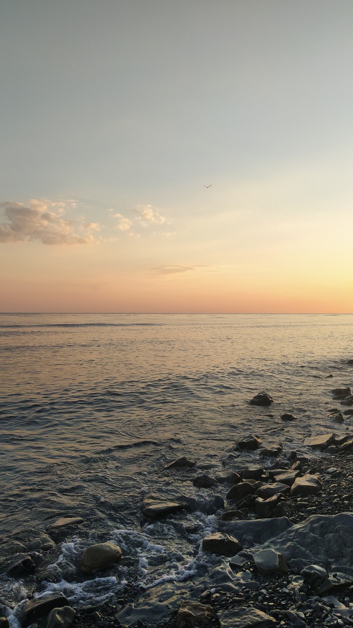 Sea