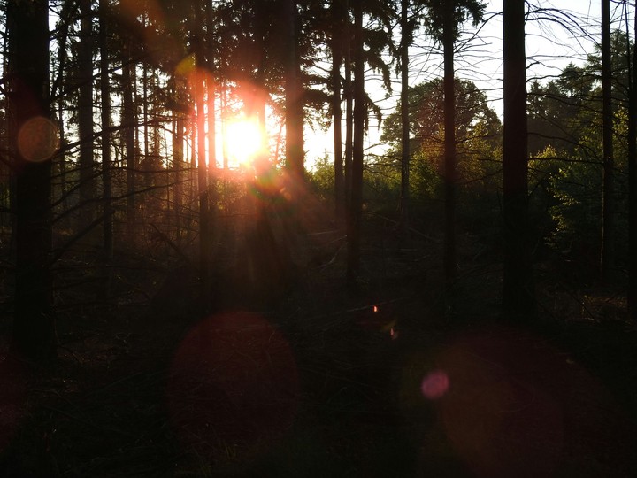 early in the morning