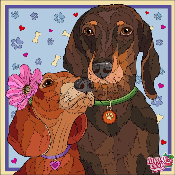 Cachorros