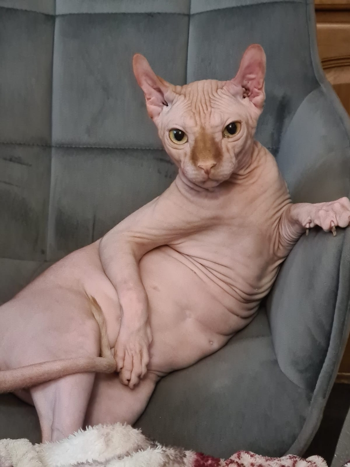 .