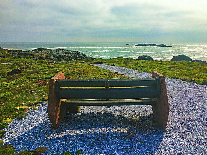 Bench