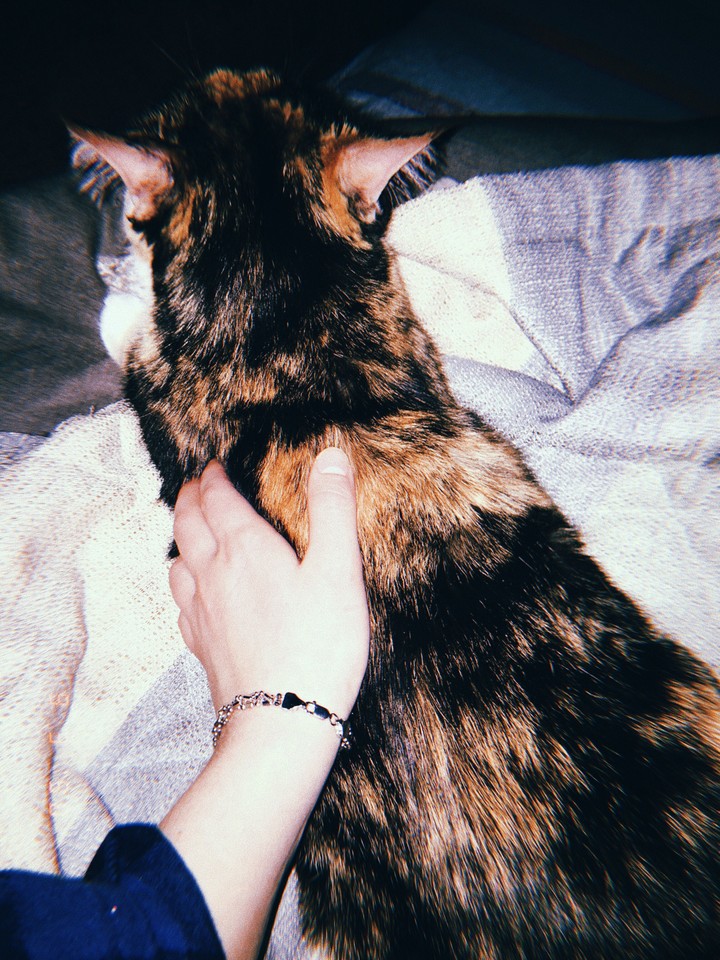 мяу