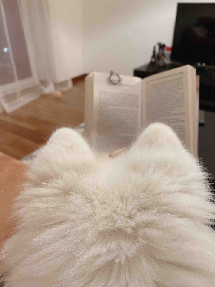 Bedtime story time