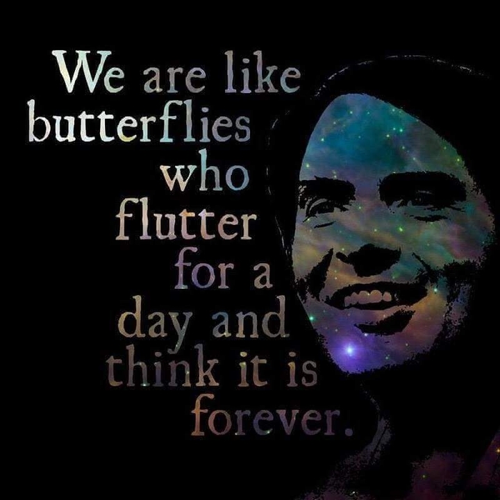 true