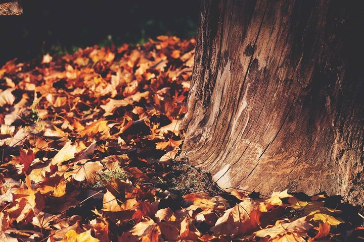 autumn 18