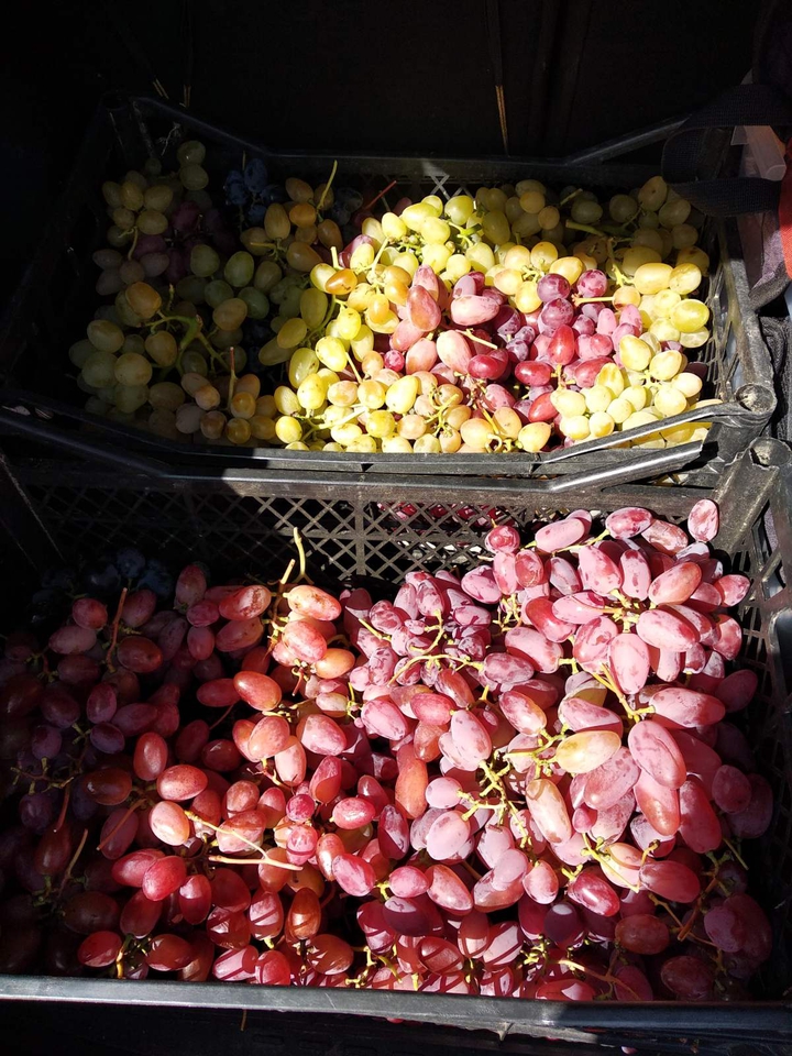 grapes