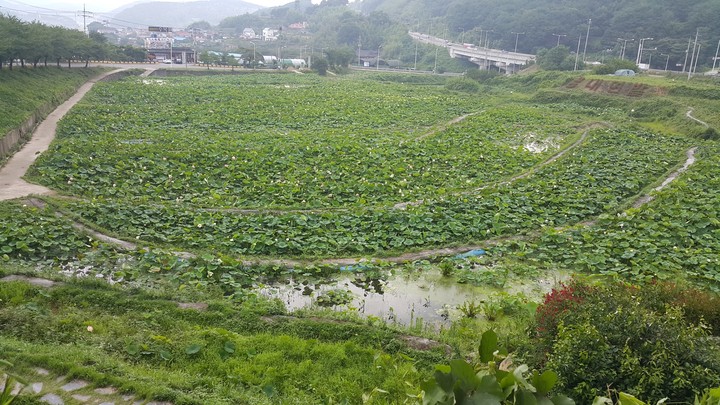 s korea BUSAN
