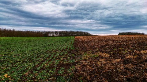 landscape