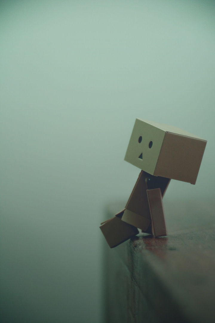 danbo