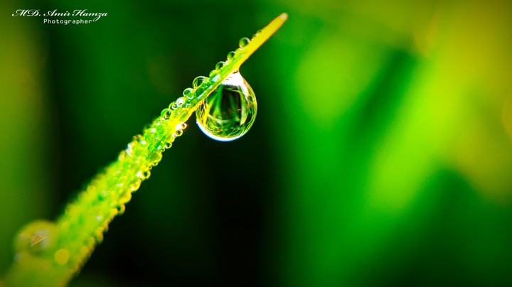 water drop