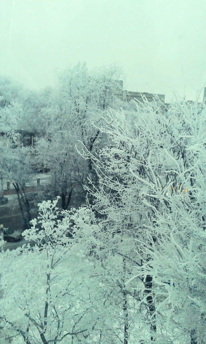 Winter