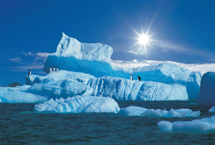 Ice burgs