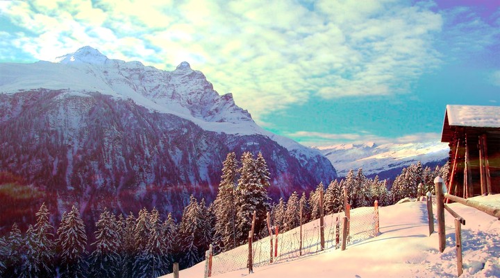 winter view