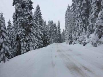 daday Kastamonu Türkiye