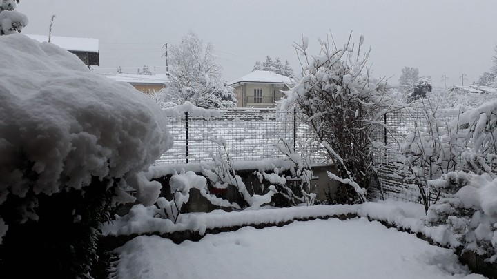 Outside my windows