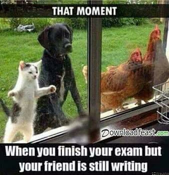 friend