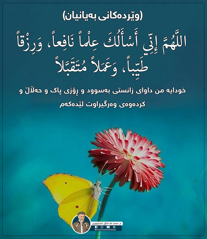 pray