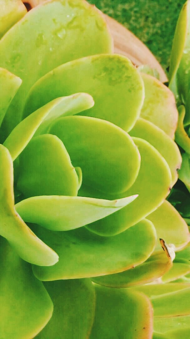 Naturaleza