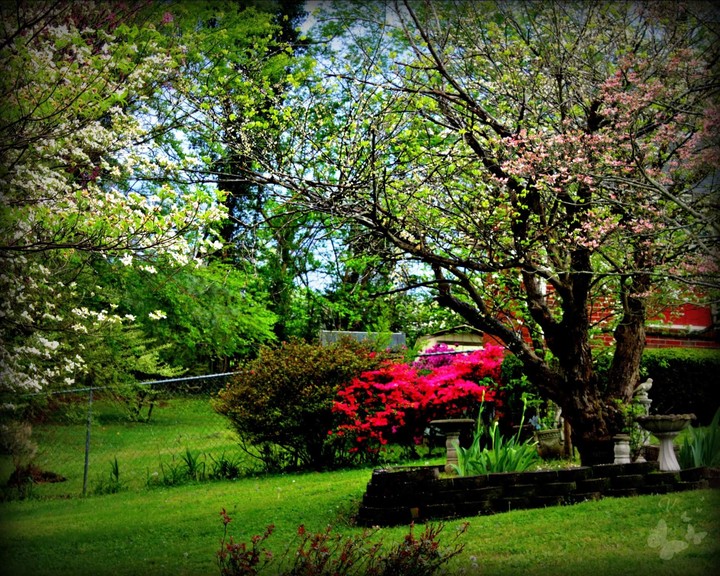 spring