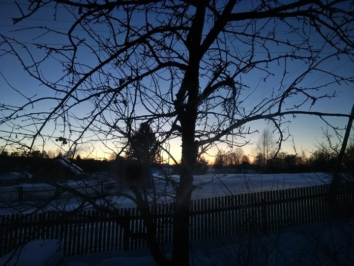 Evening in countryside