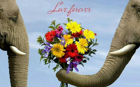Love forever.