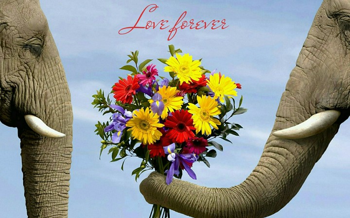 Love forever.