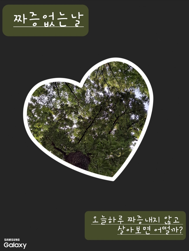 짜증없는날 2