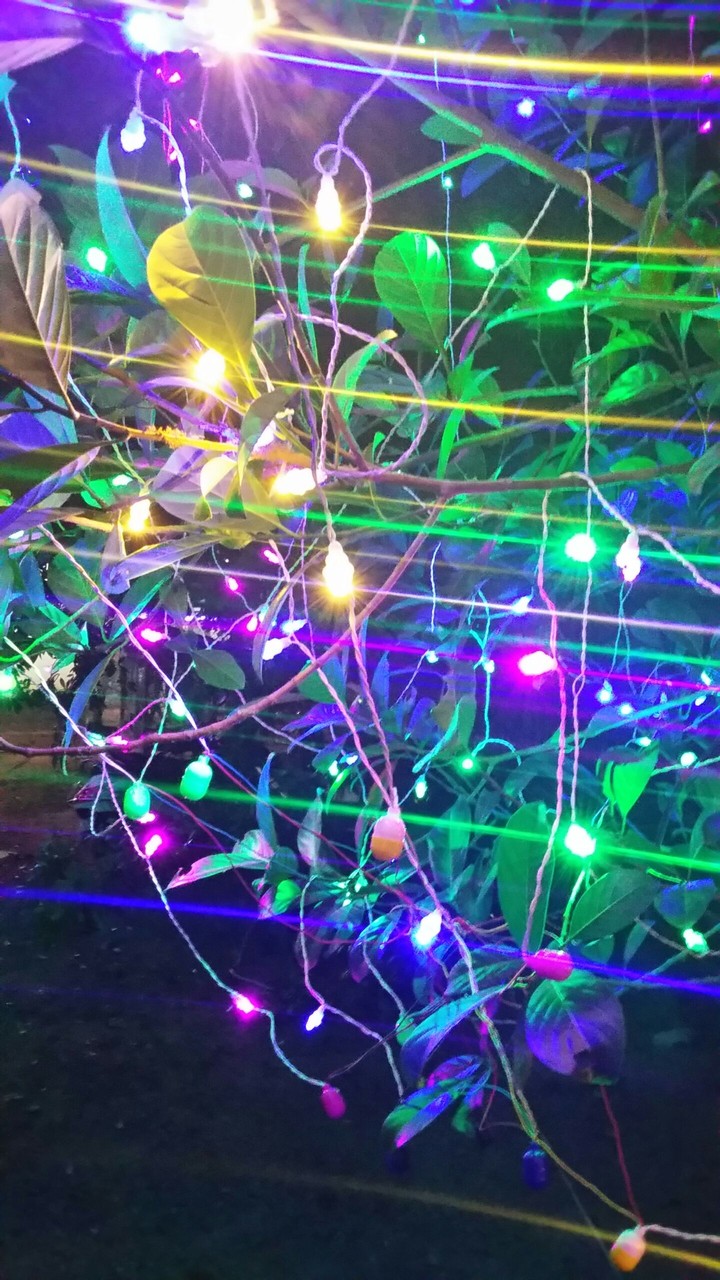 lights