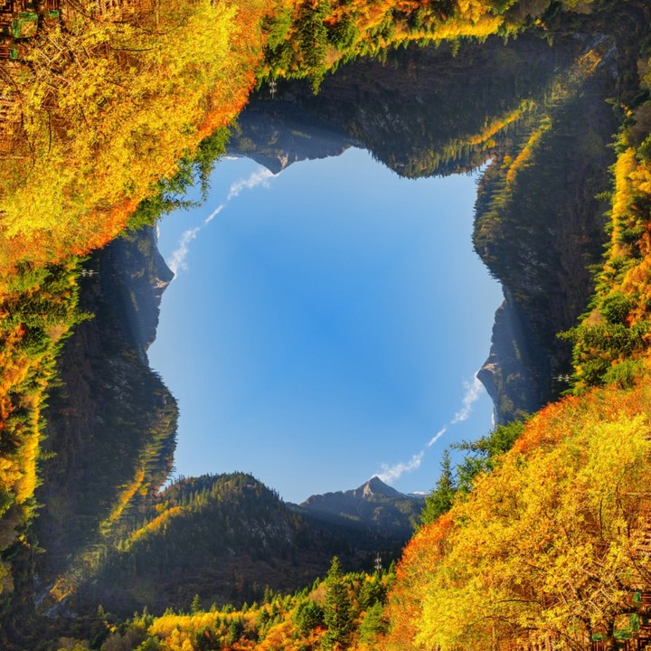 Vista