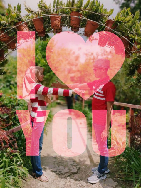 love