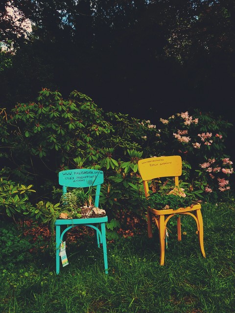beauty in simple things