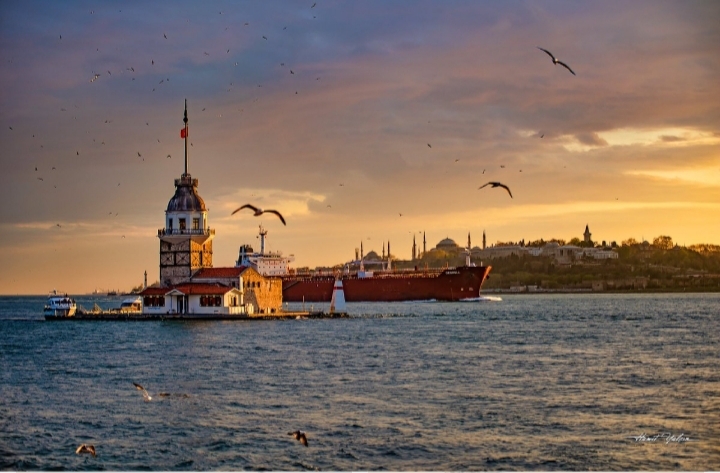 turkey