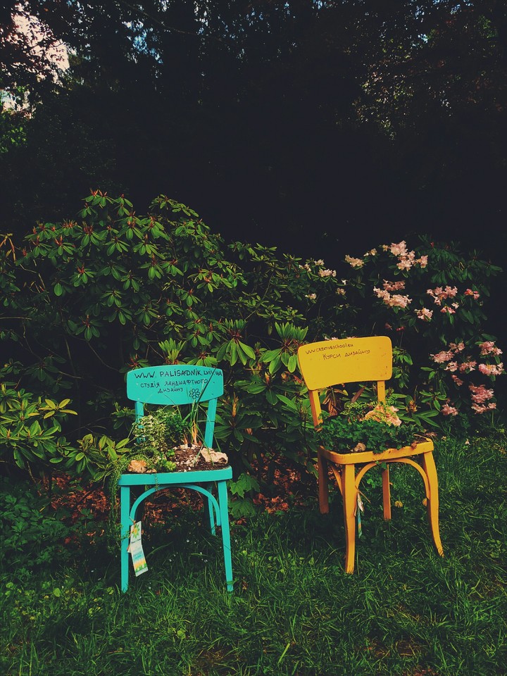 beauty in simple things