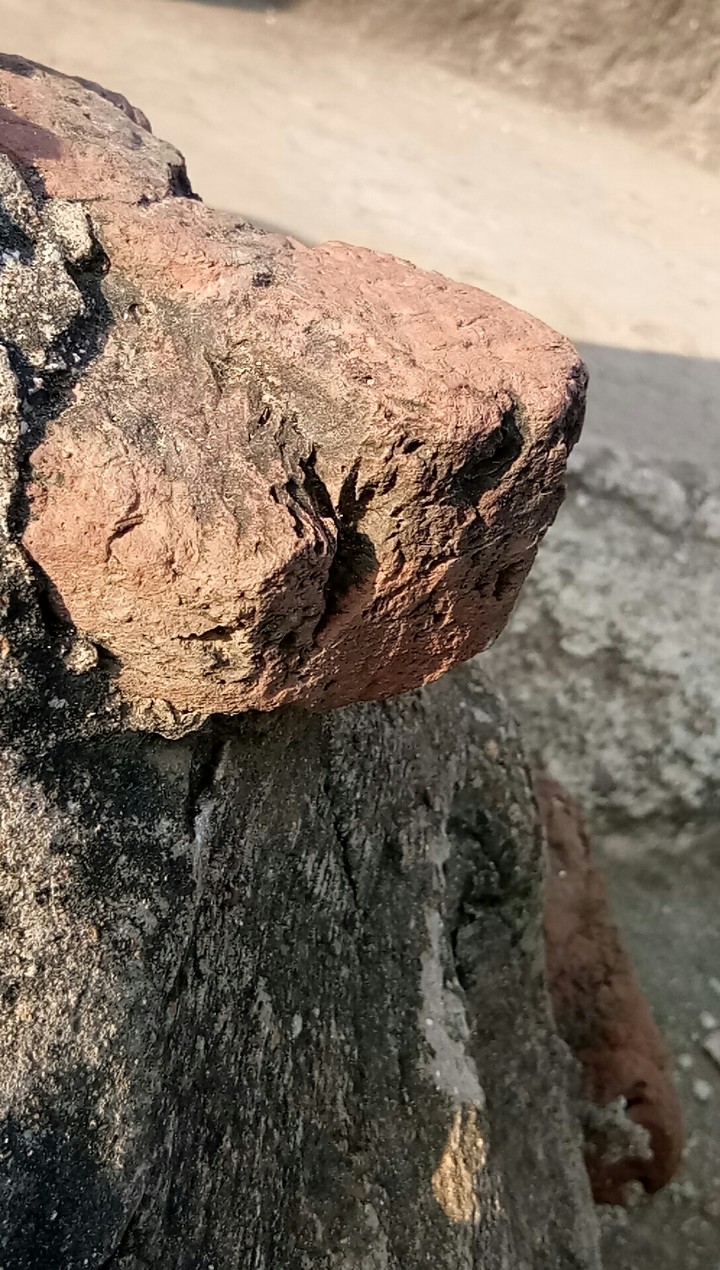 Rocks