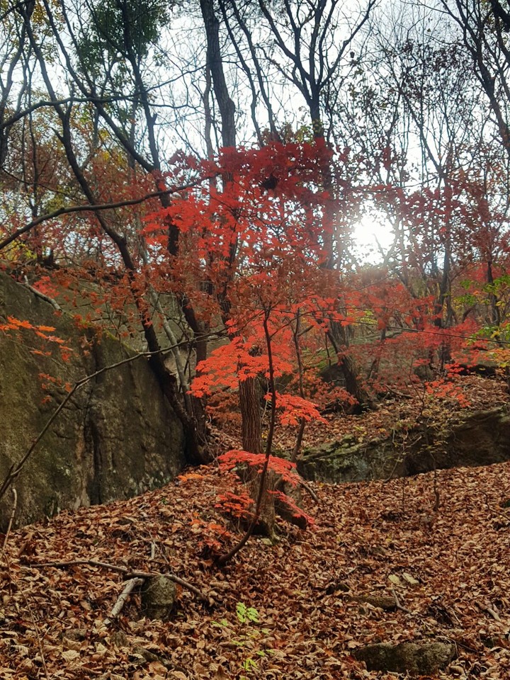 Bukhansan Mountain in South Korea