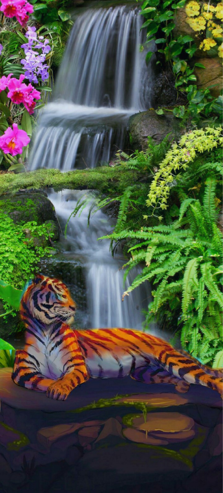 Nature.