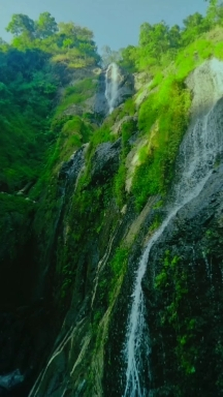 NATURE