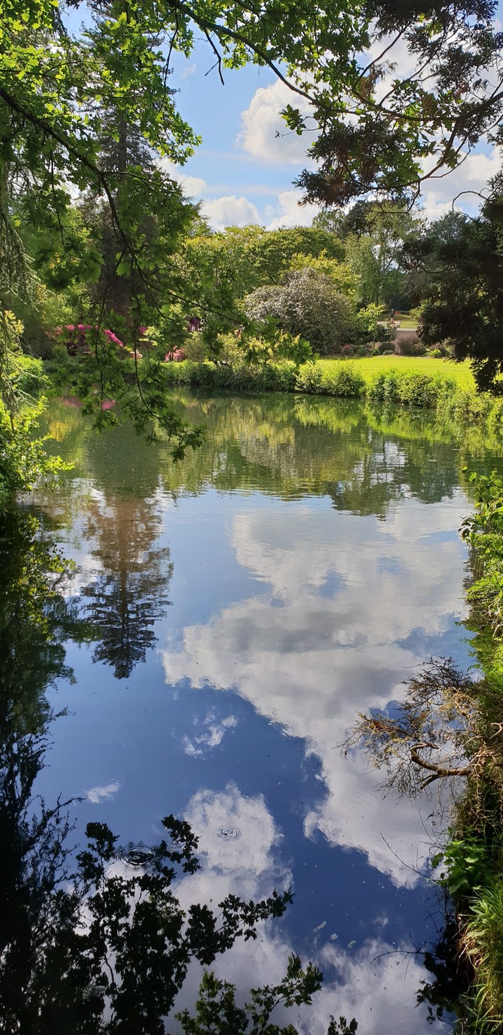 nature