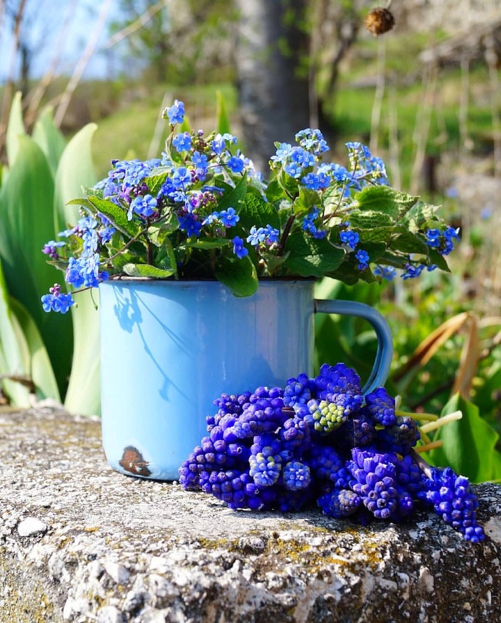 Blue