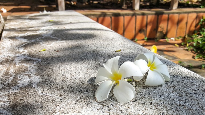 Peaceful bench