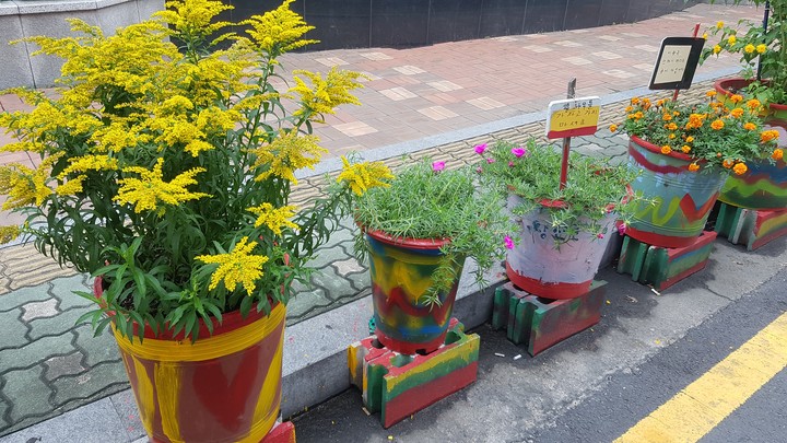 flower