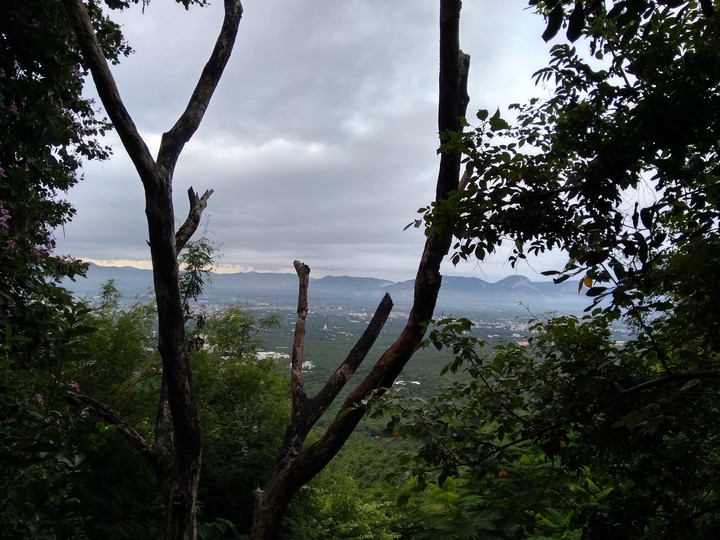 nature