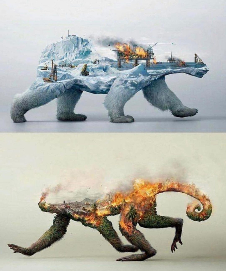 reality