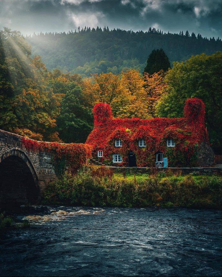 Fall