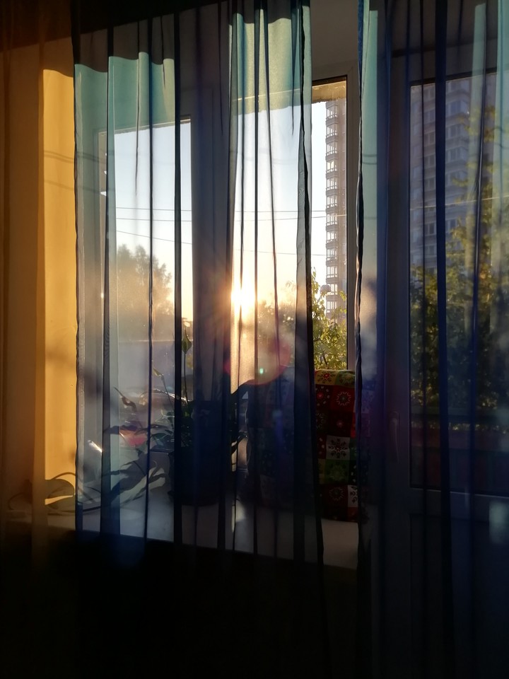 sunlight ☀